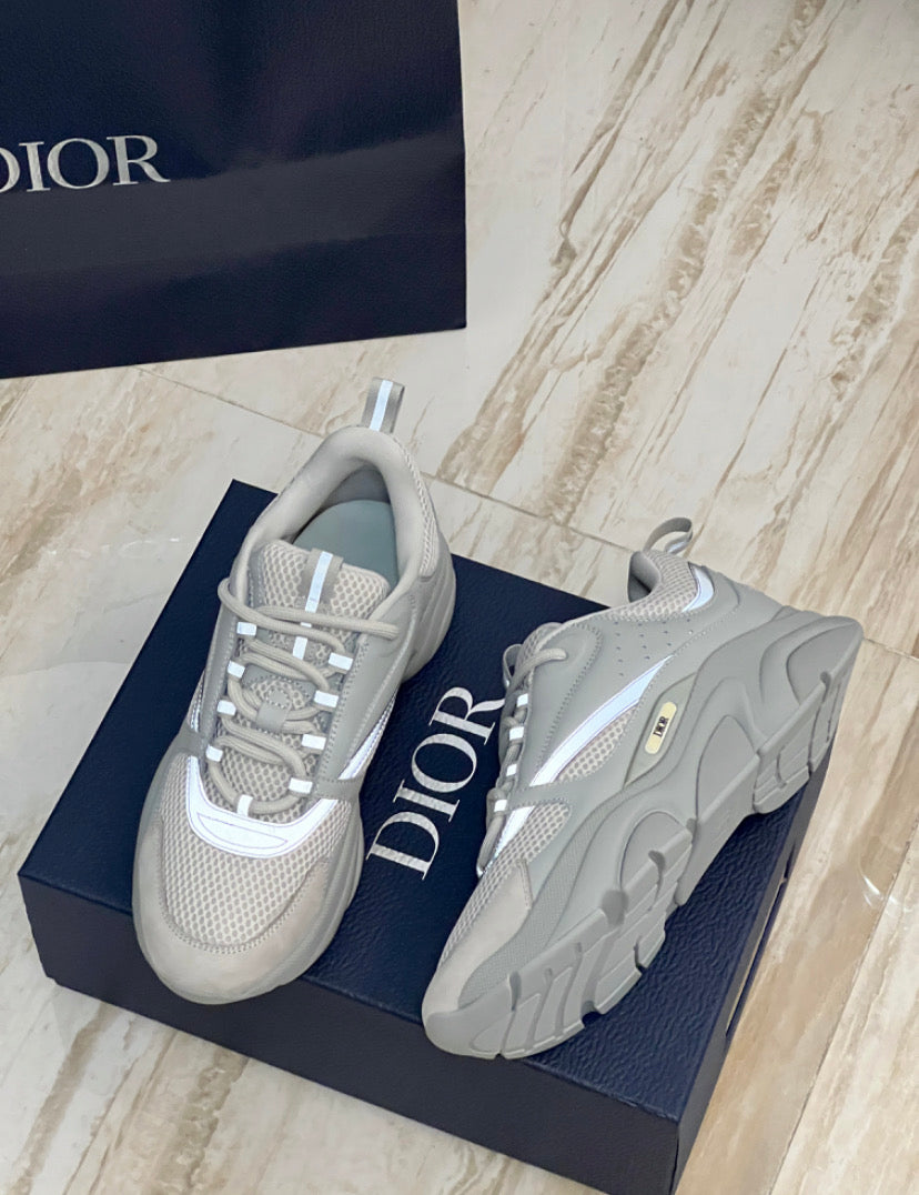 Dior b22