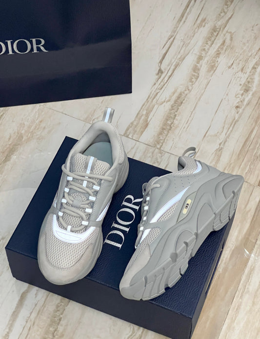 Dior b22
