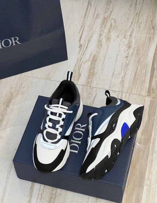 Dior b22
