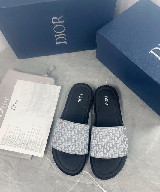 Dior slides